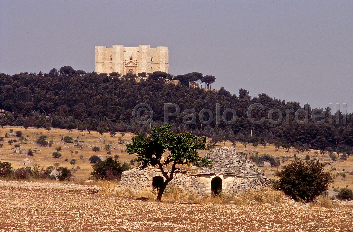Castel del Monte, Apulia, Puglia, Italy
 (cod:Puglia 02)